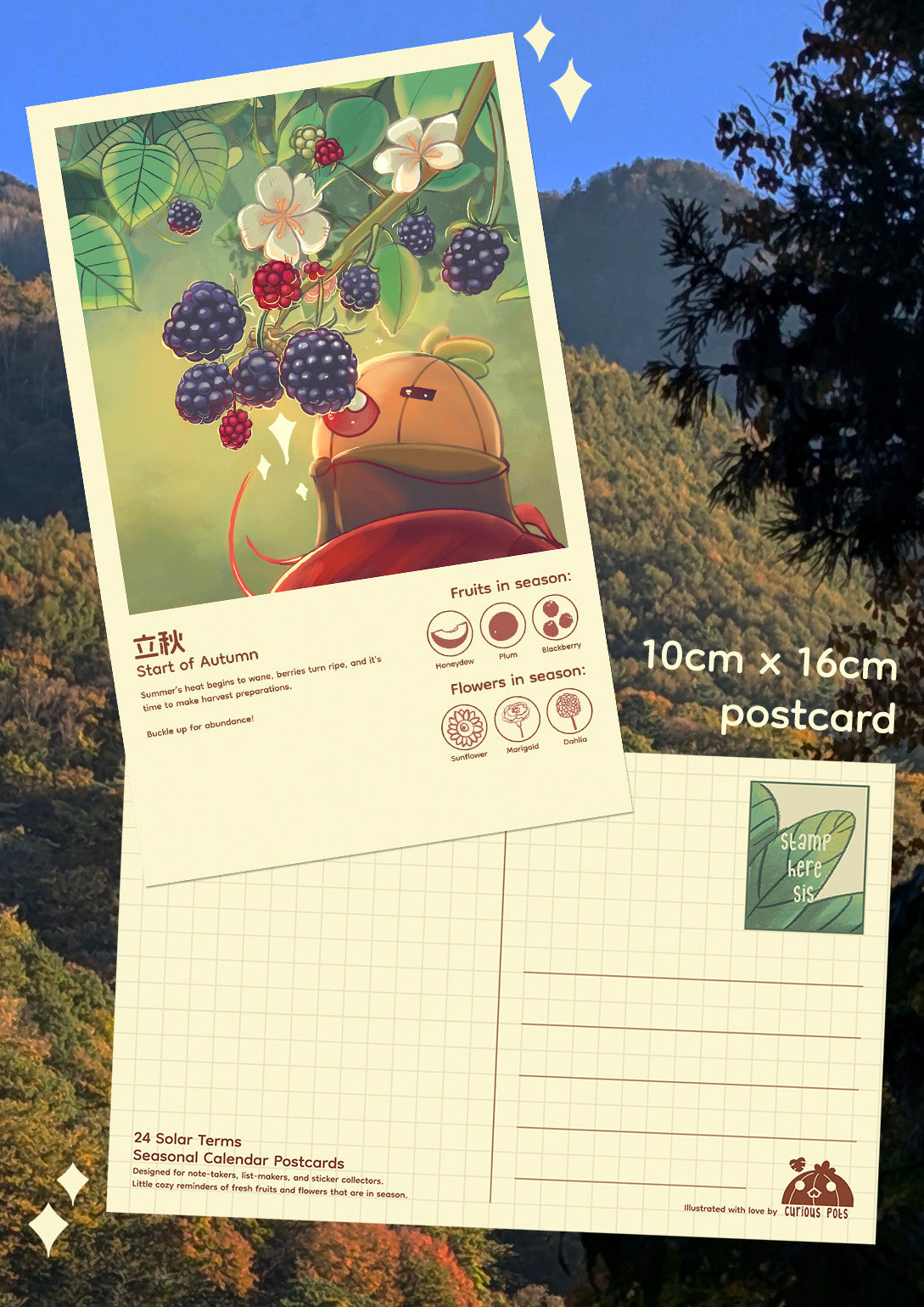 Postcard - Eating Blackberries