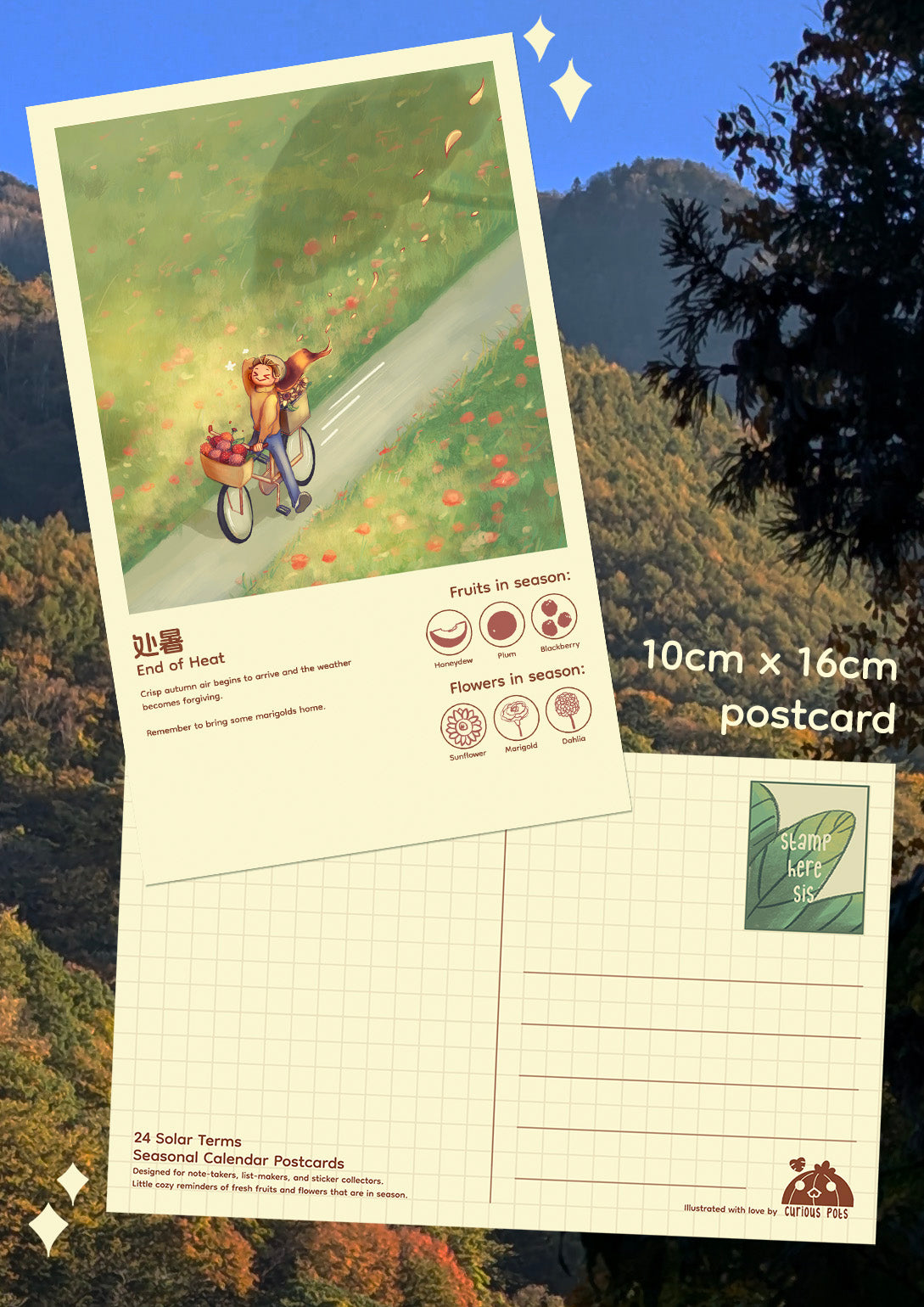 Layla Postcard - Cycling in the Wind Over Fields