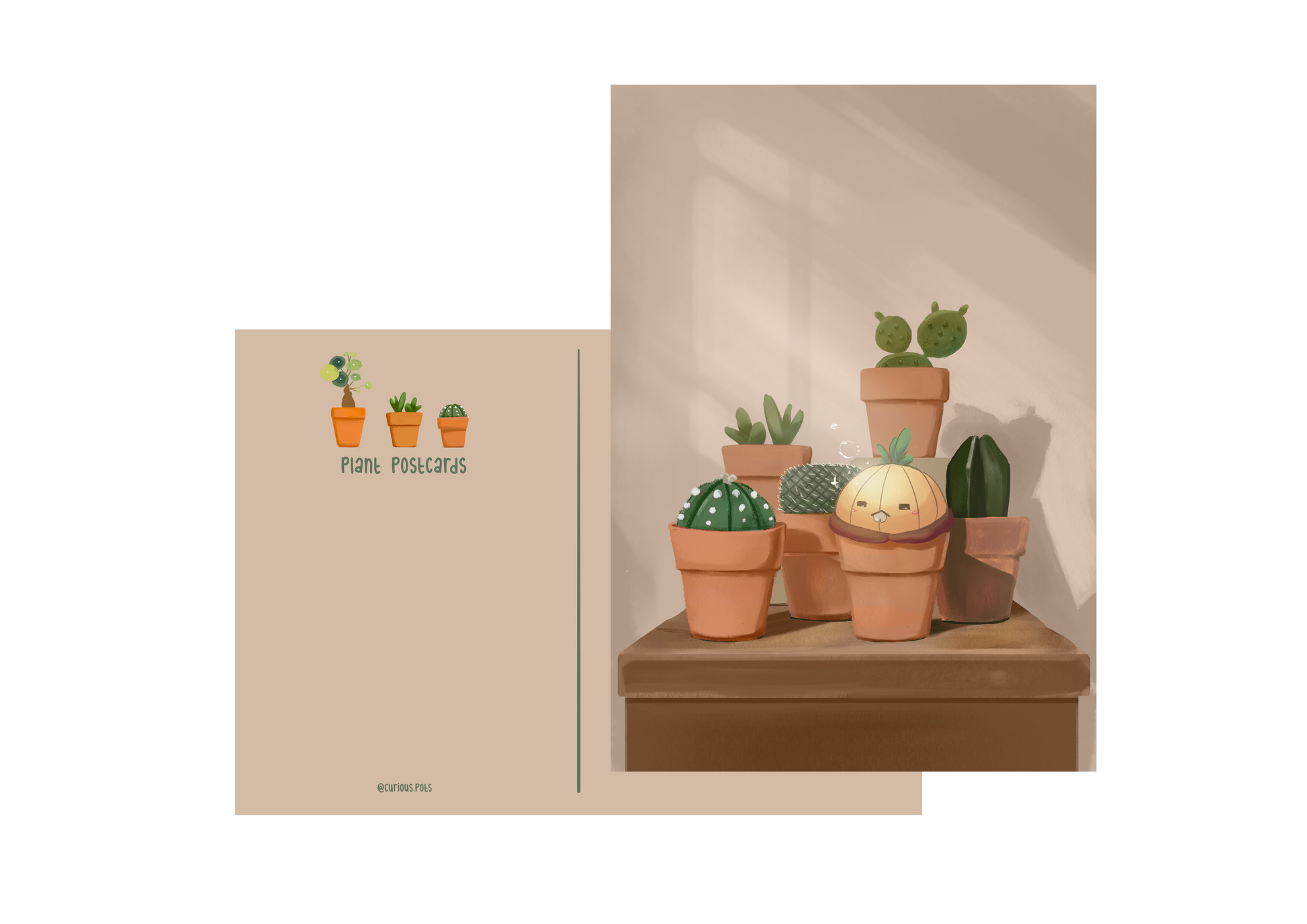 Postcard - Cactus Collection