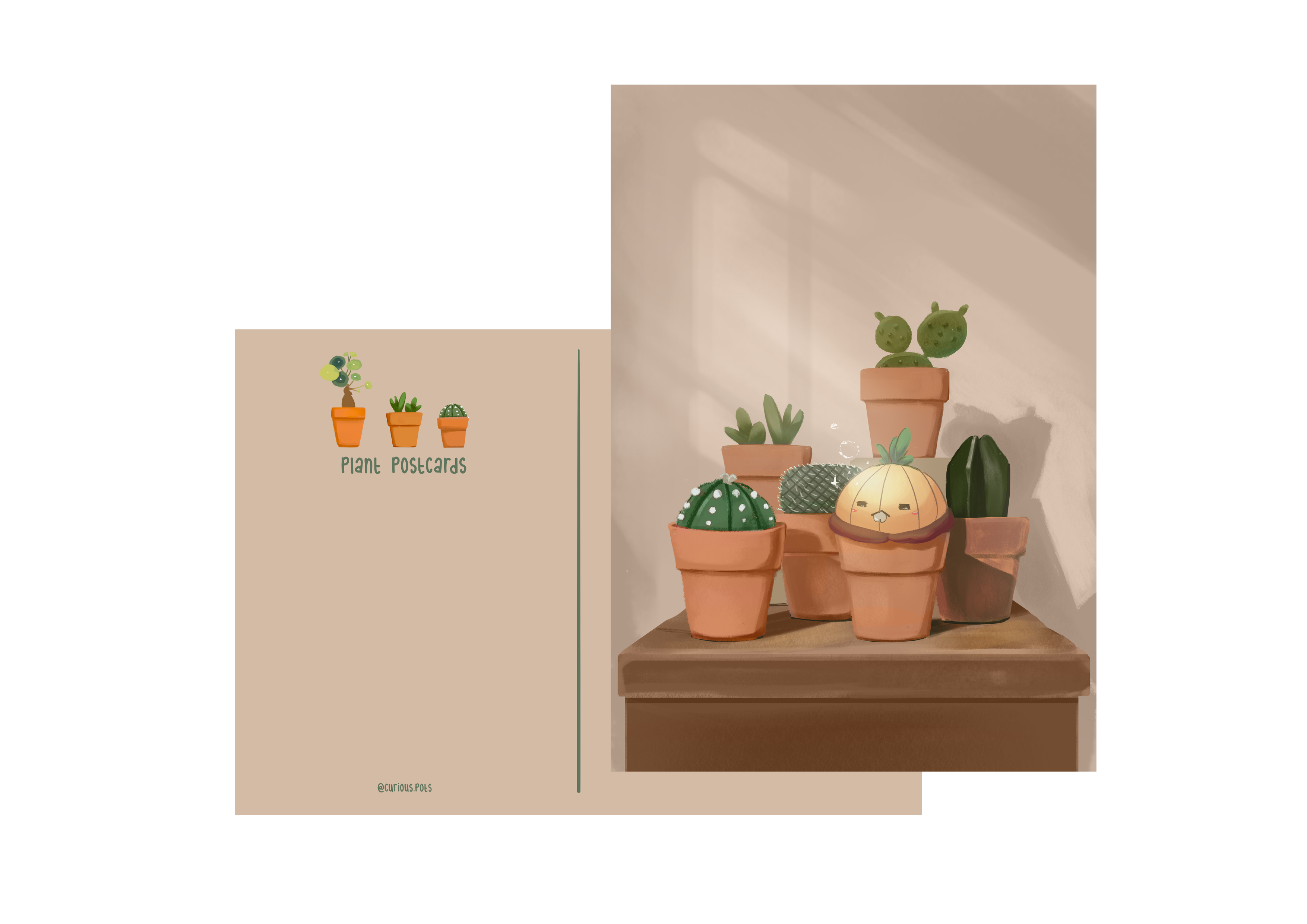 Postcard - Cactus Collection