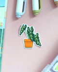 Vinyl Sticker - Alocasia Frydek
