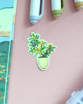 Vinyl Sticker - Variegated Umbrella Plant