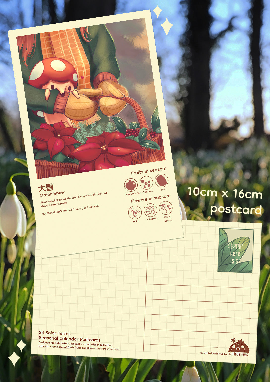 Layla Postcard - Poinsettia Harvests with Mushhog