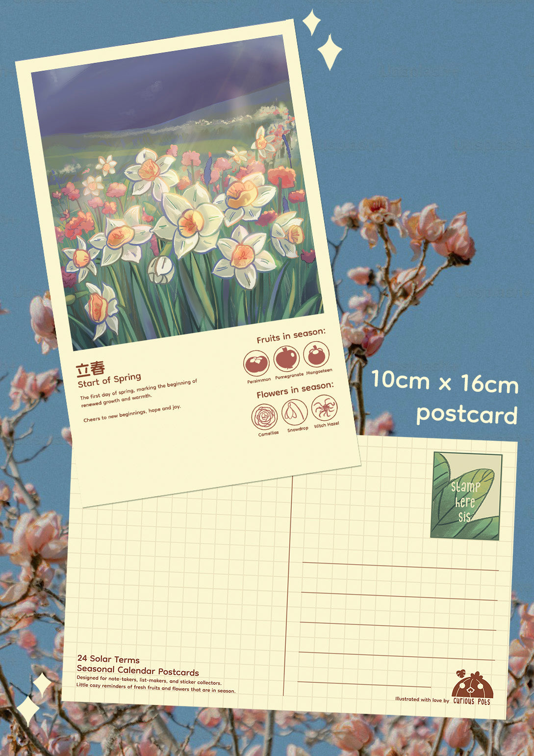 Layla Postcard - Daffodil Fields