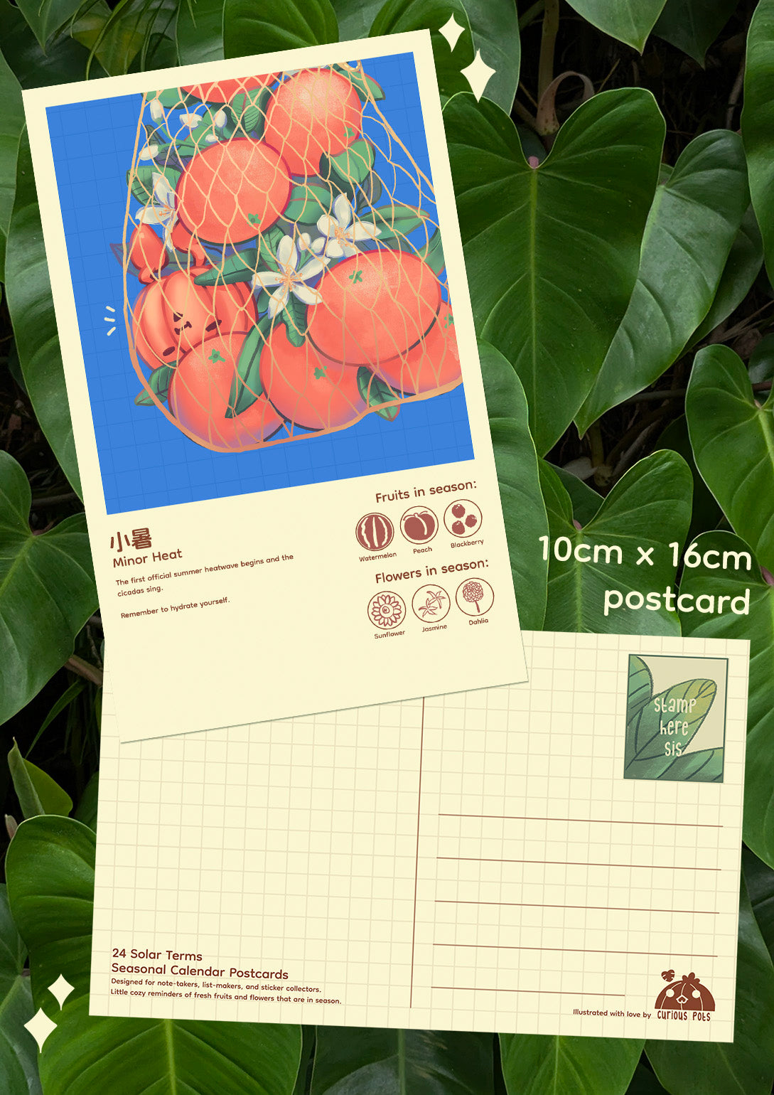 Layla Postcard - A Bag of Oranges