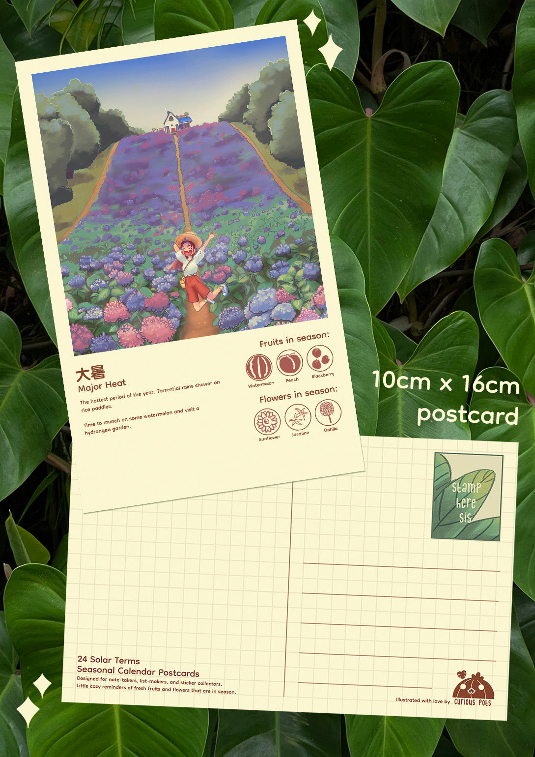 Layla Postcard - Hydrangea Fields in Bloom