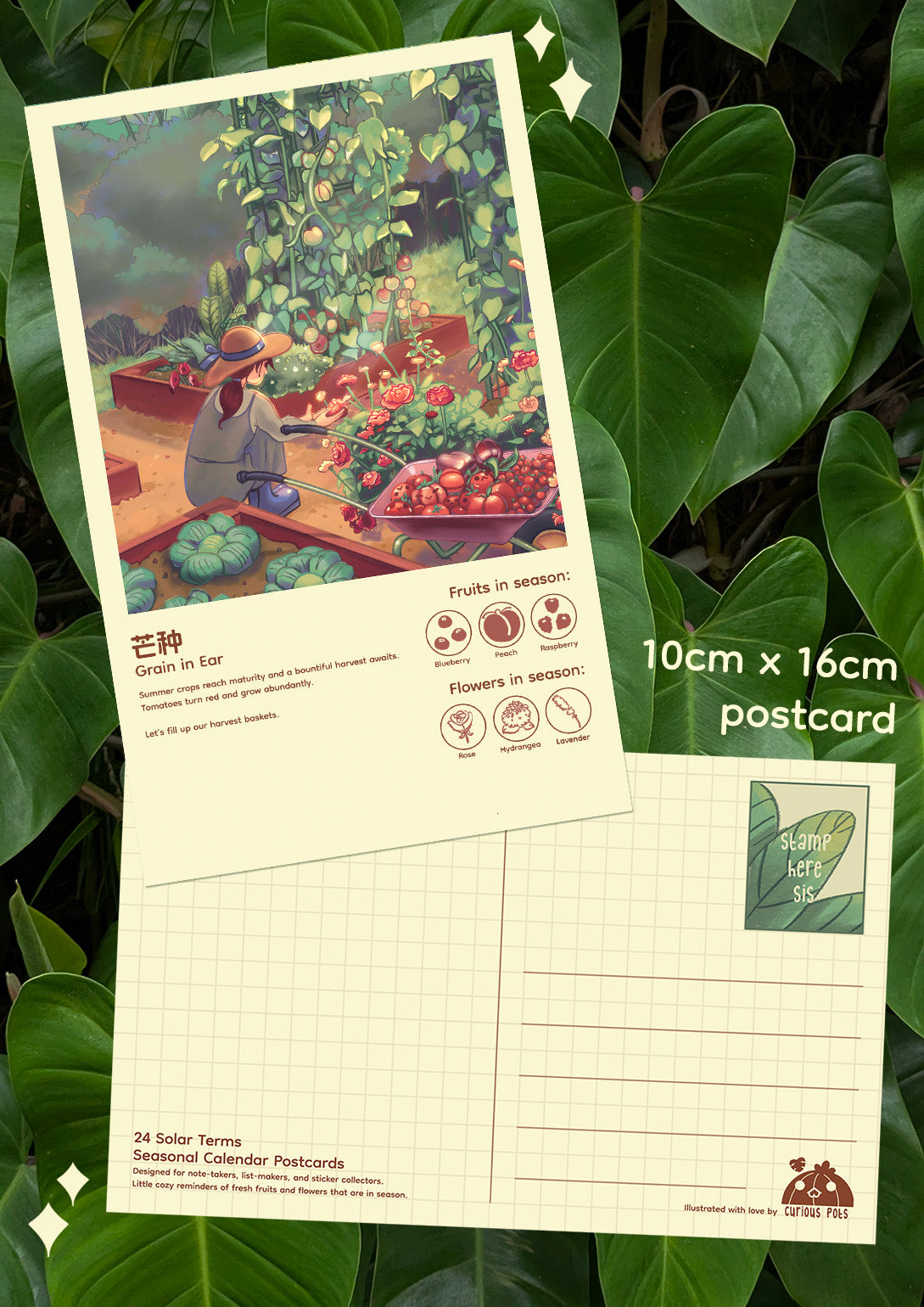 Layla Postcard - Cozy Vegatable Garden Harvest
