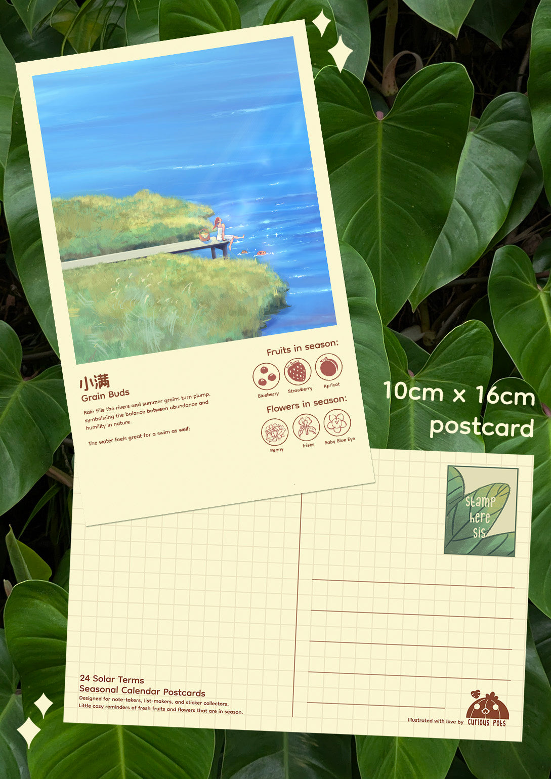 Postcard - Fields and Lakes