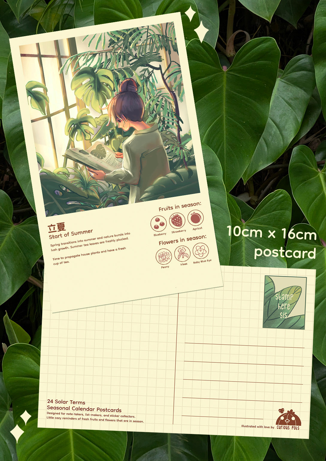 Postcard - Monstera Garden