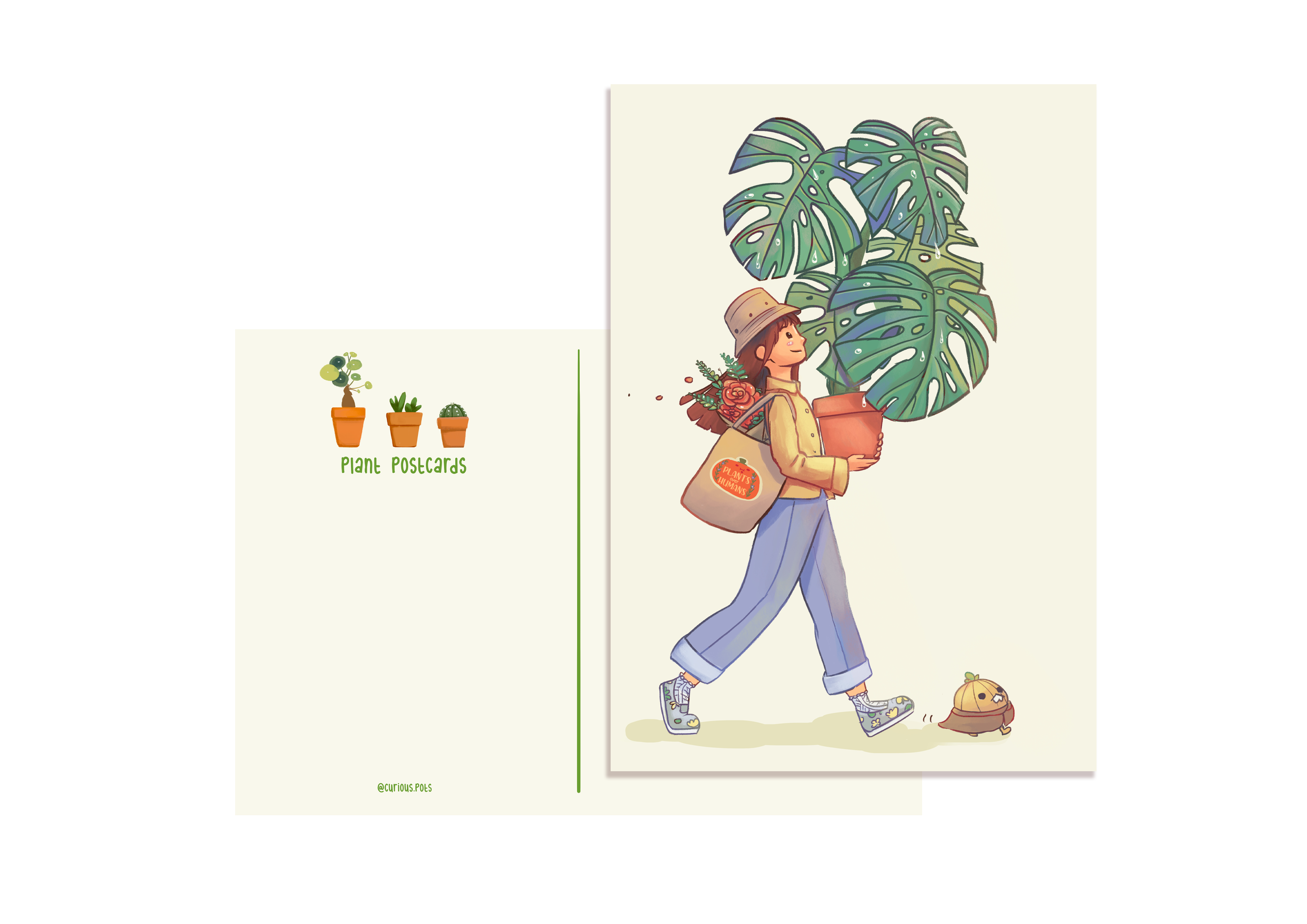 Postcard - Monstera