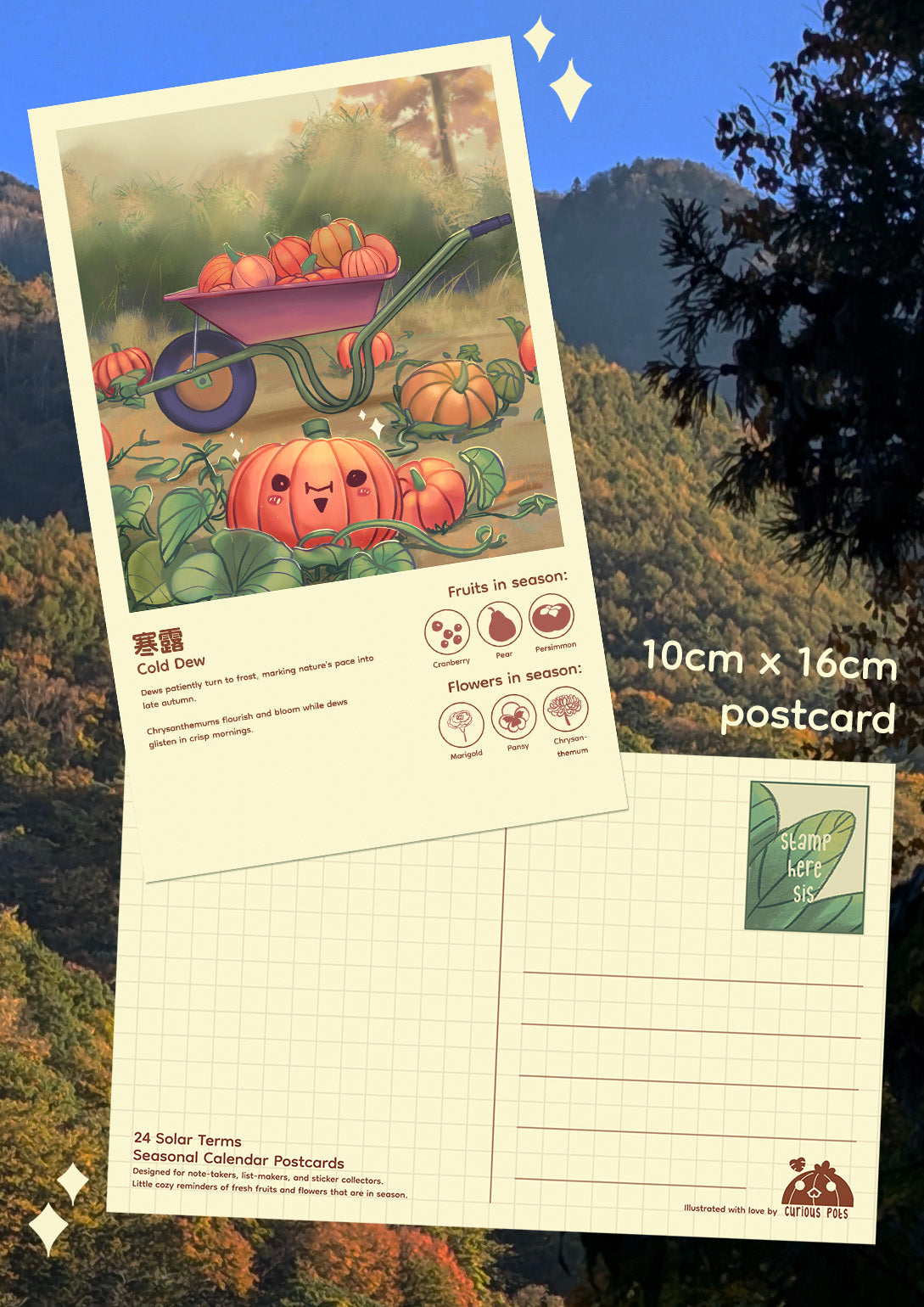 Postcard - Pumpkin Harvest for Halloween and Soup