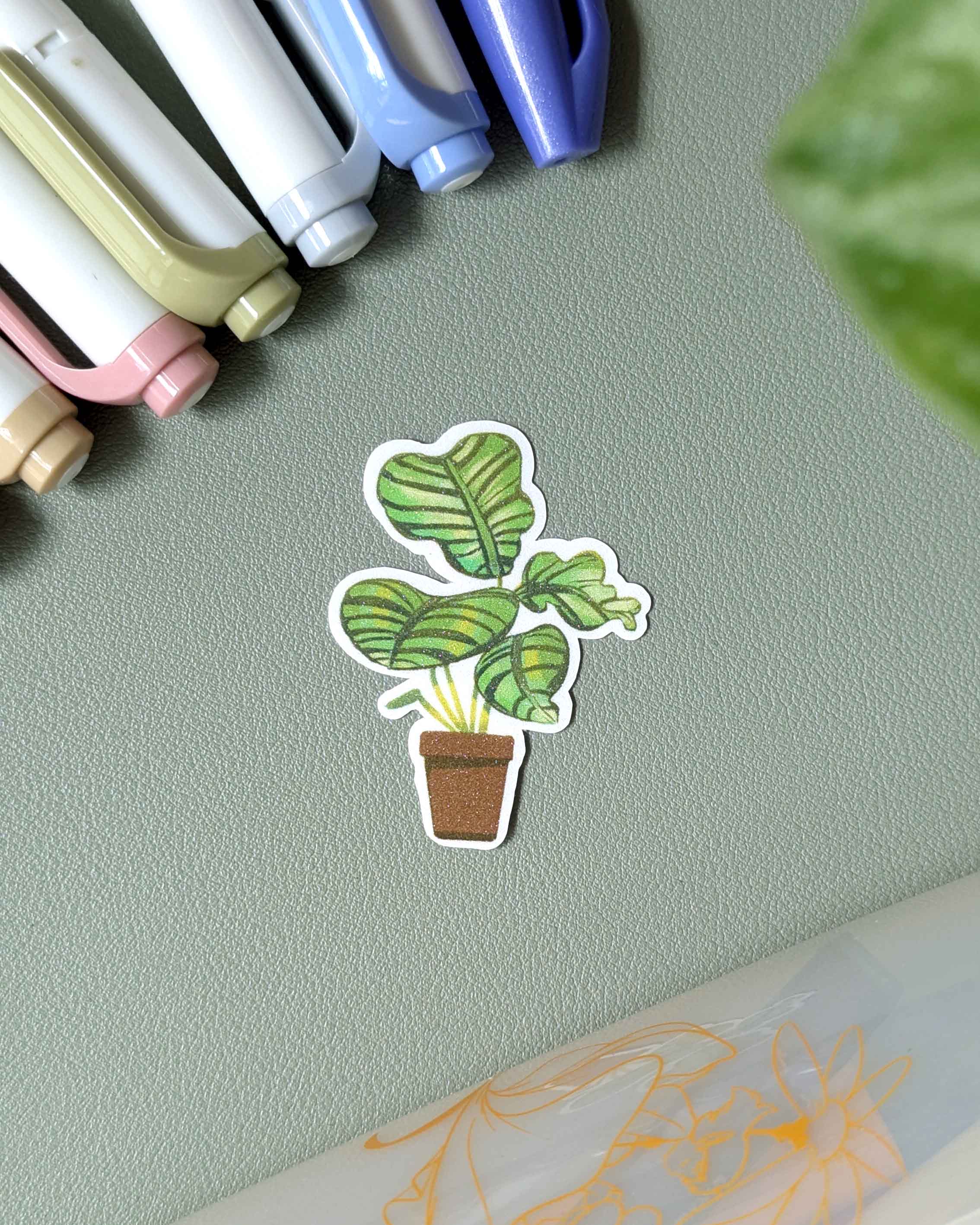 Vinyl Sticker - Calathea Orbifolia
