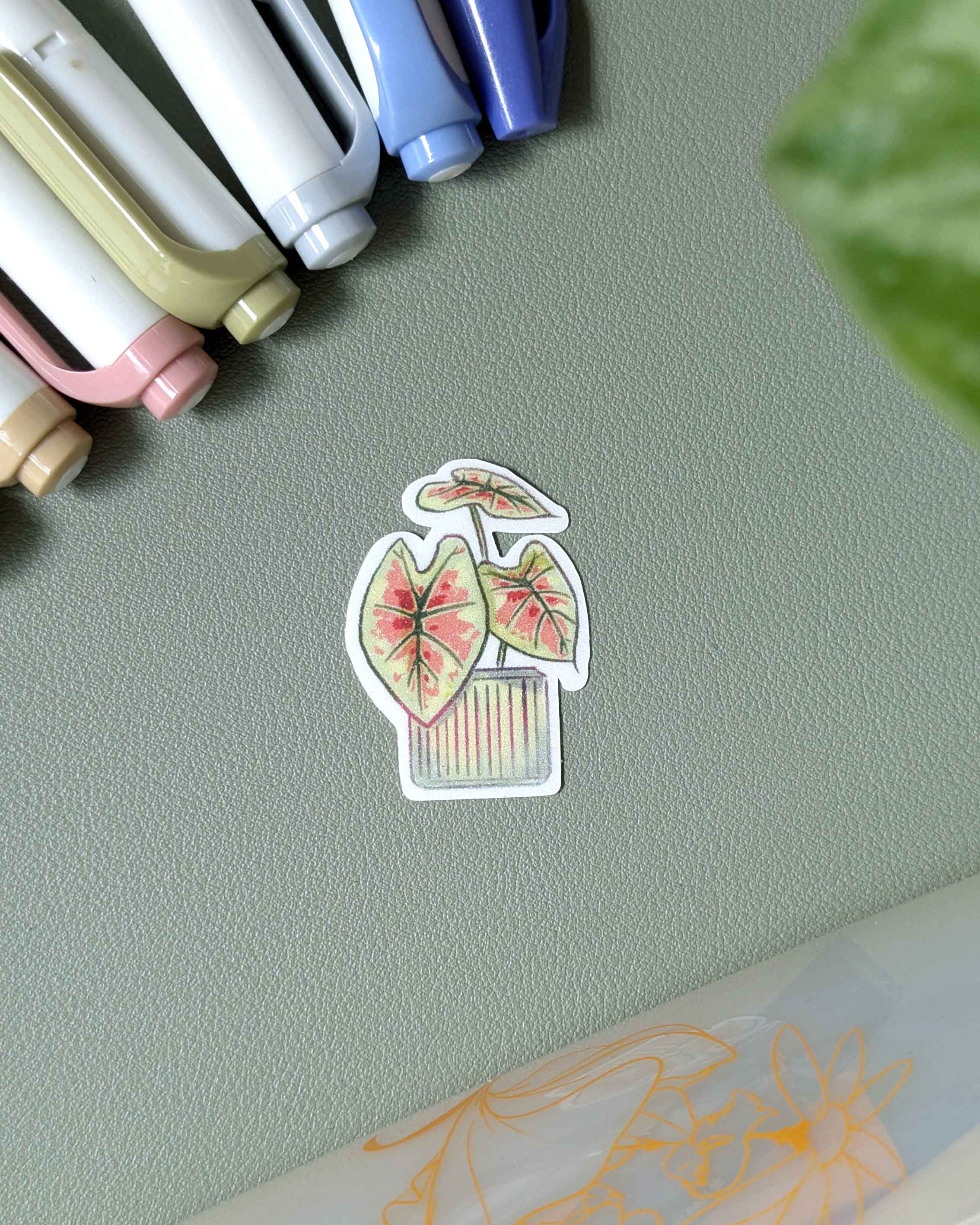 Vinyl Sticker - Caladium Strawberry Star