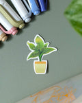 Vinyl Sticker - Philodendron Birkin