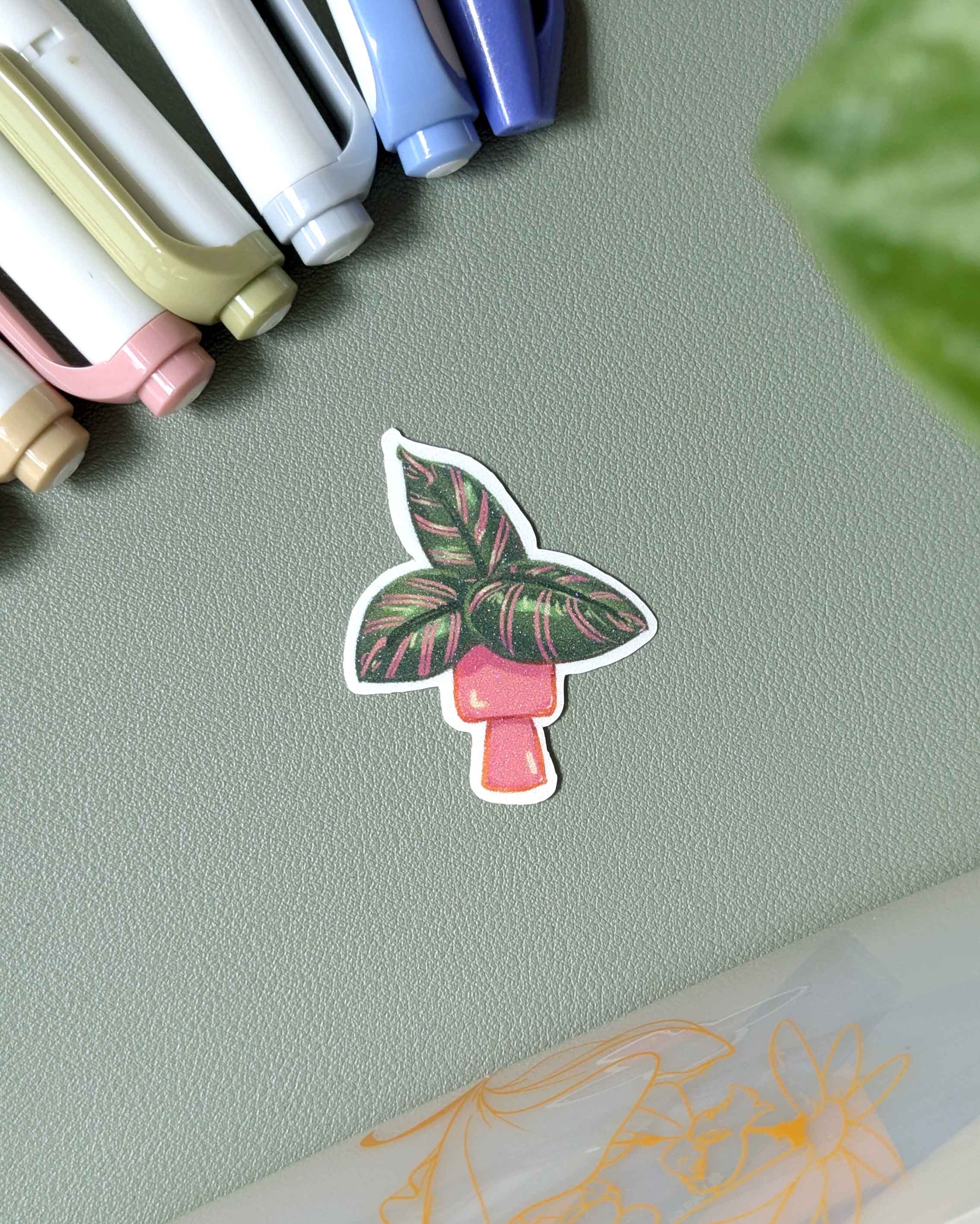 Vinyl Sticker - Calathea Ornata