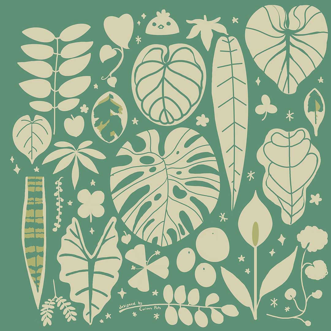 Multipurpose Microfiber Cloth / Lens Cloth - House Plants