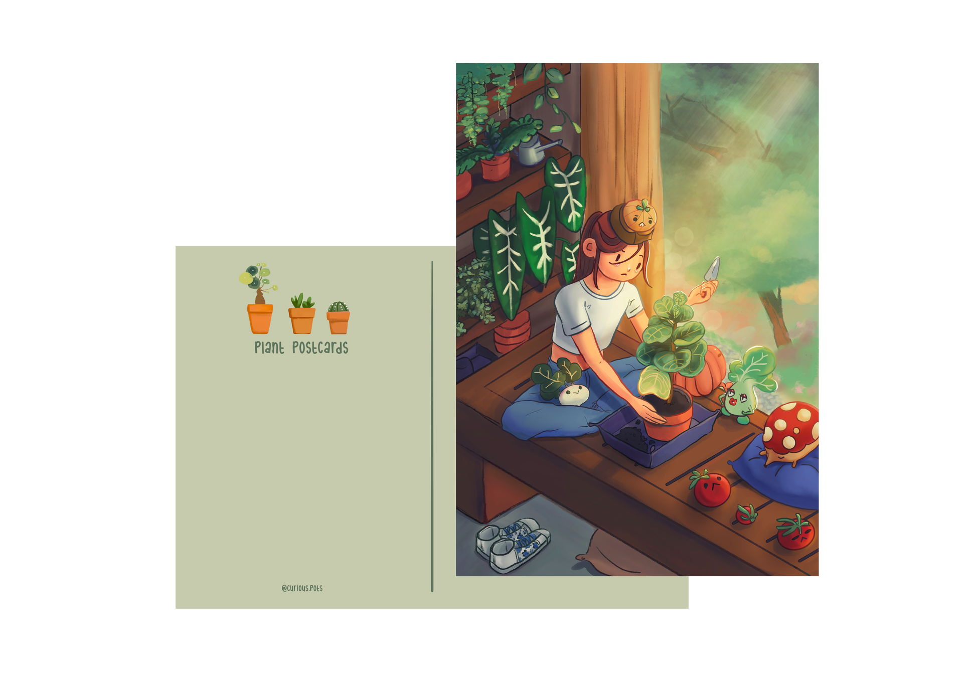Postcard - Repotting