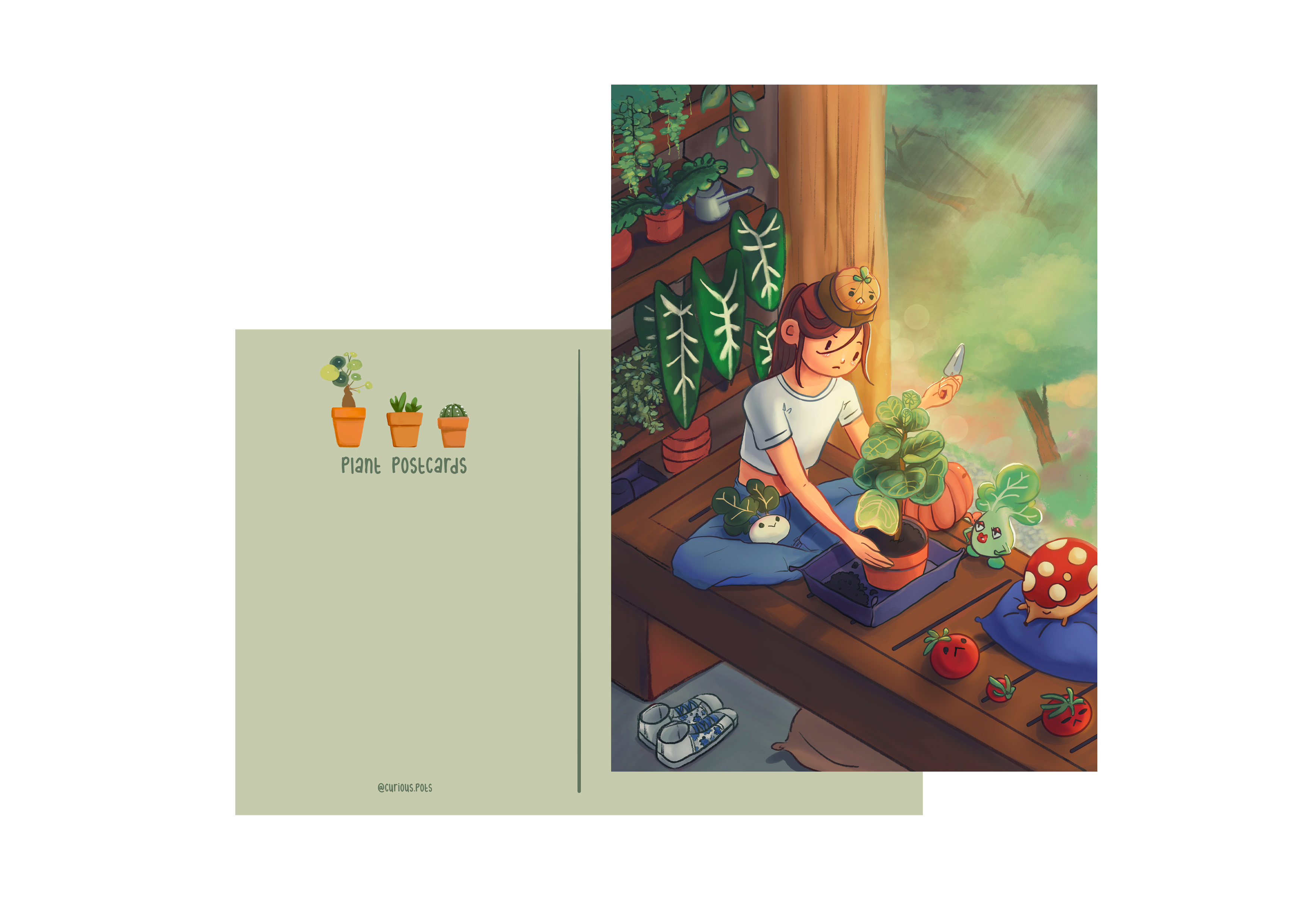 Postcard - Repotting