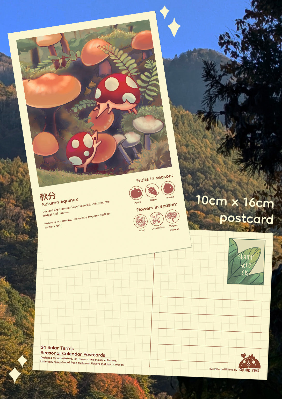 Postcard - Mushrooms in Autumn