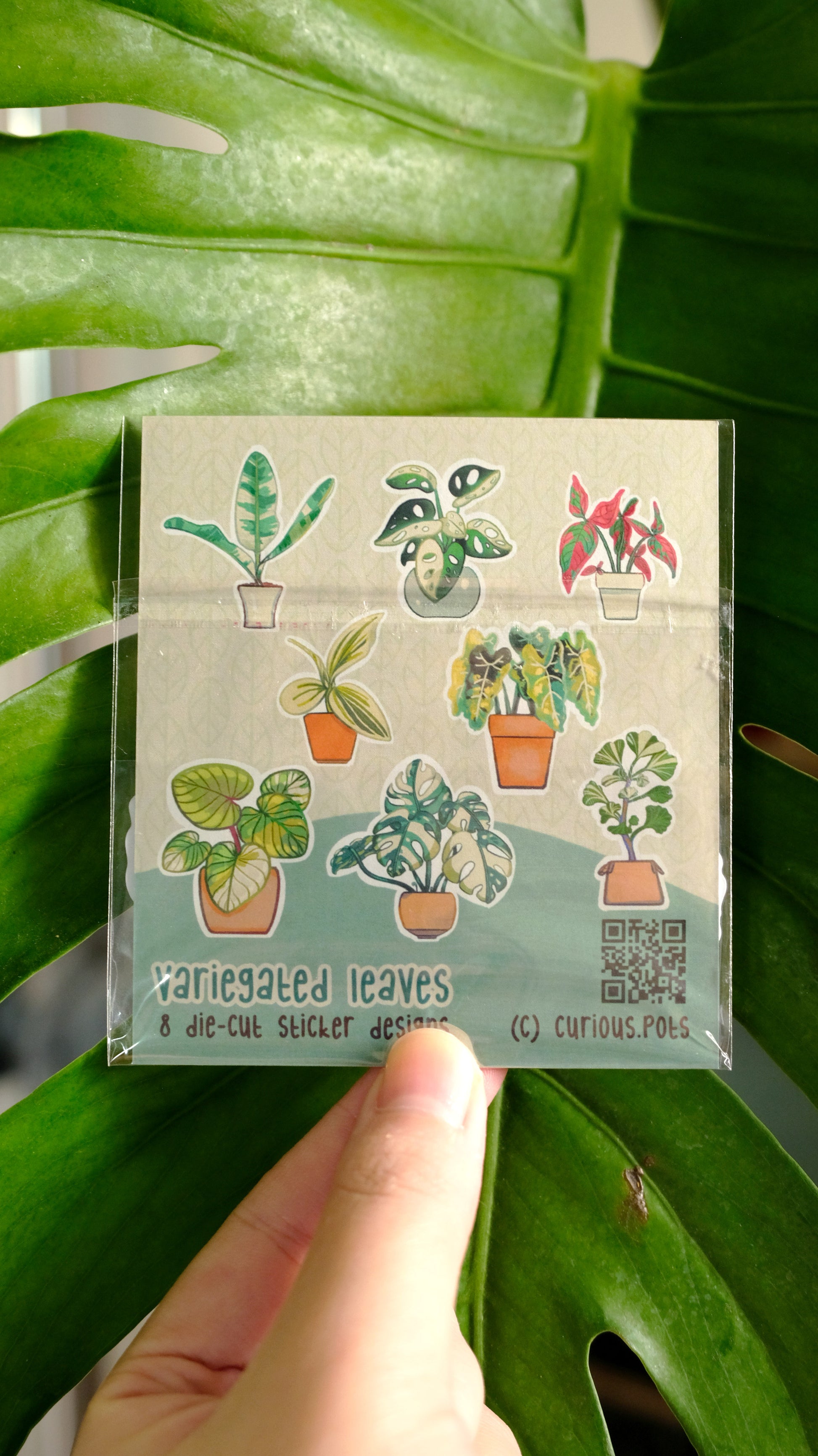 Sticker Pack - Variegated Leaves