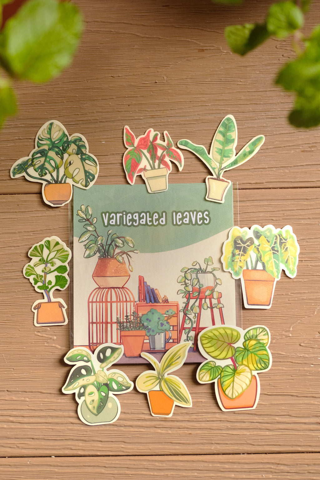 Sticker Pack - Variegated Leaves