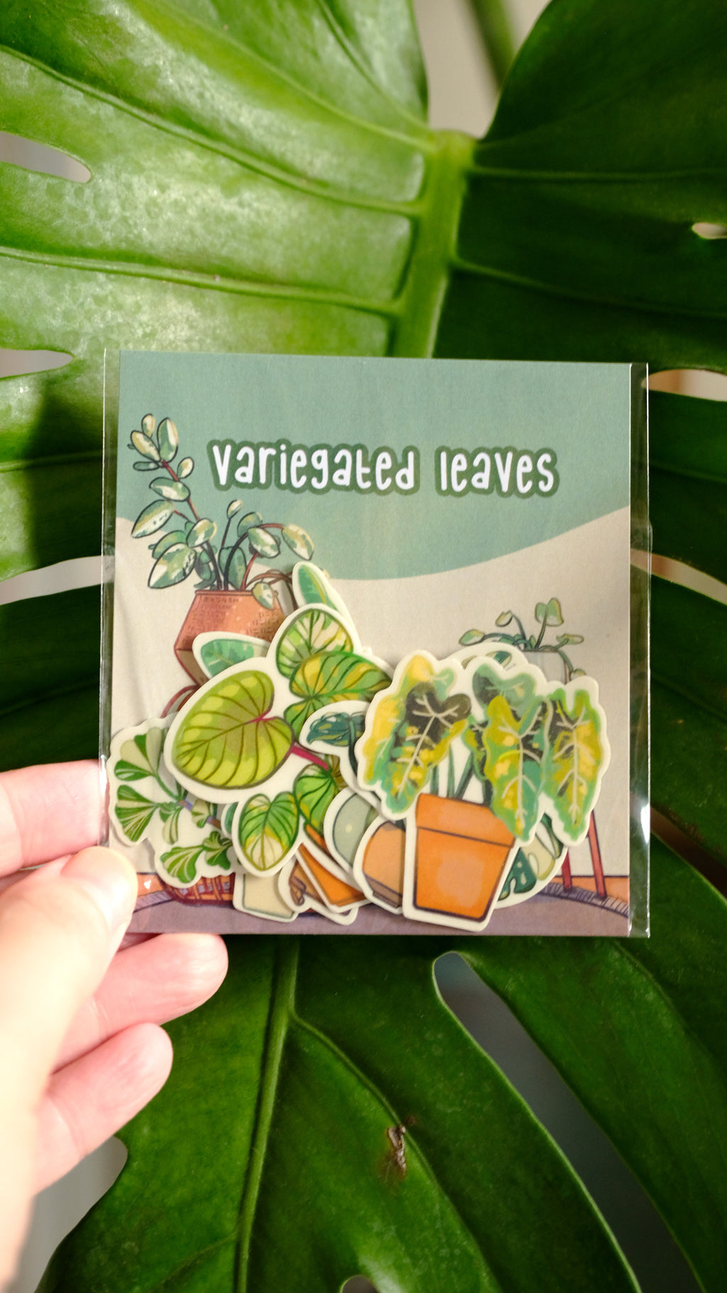 Sticker Pack - Variegated Leaves