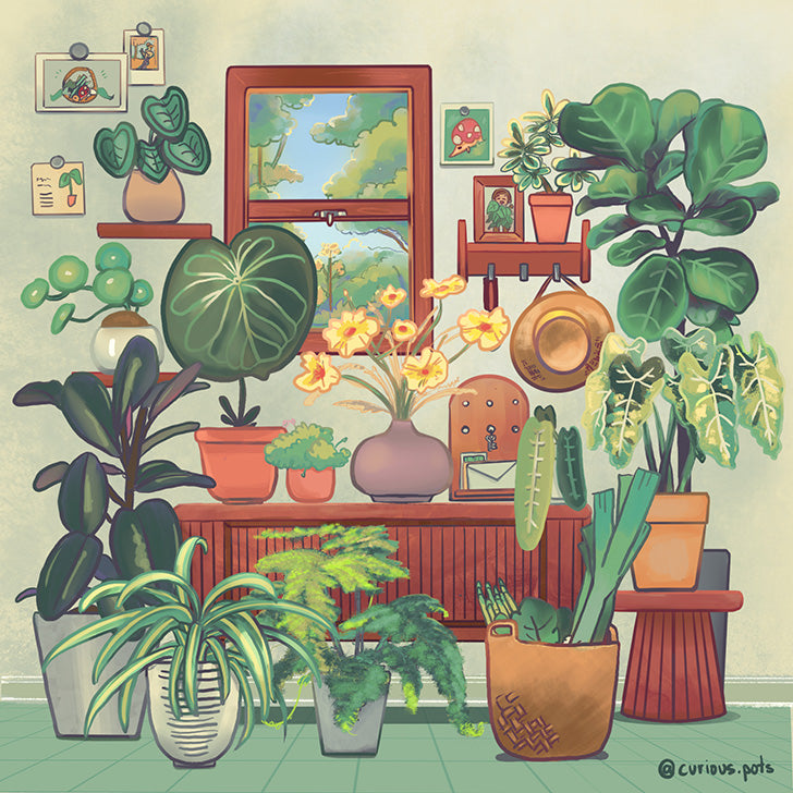 Multipurpose Microfiber Cloth / Lens Cloth - Foyer